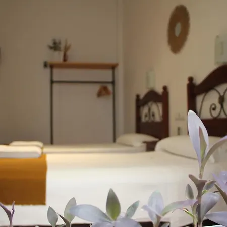 La Piquera 科爾多瓦